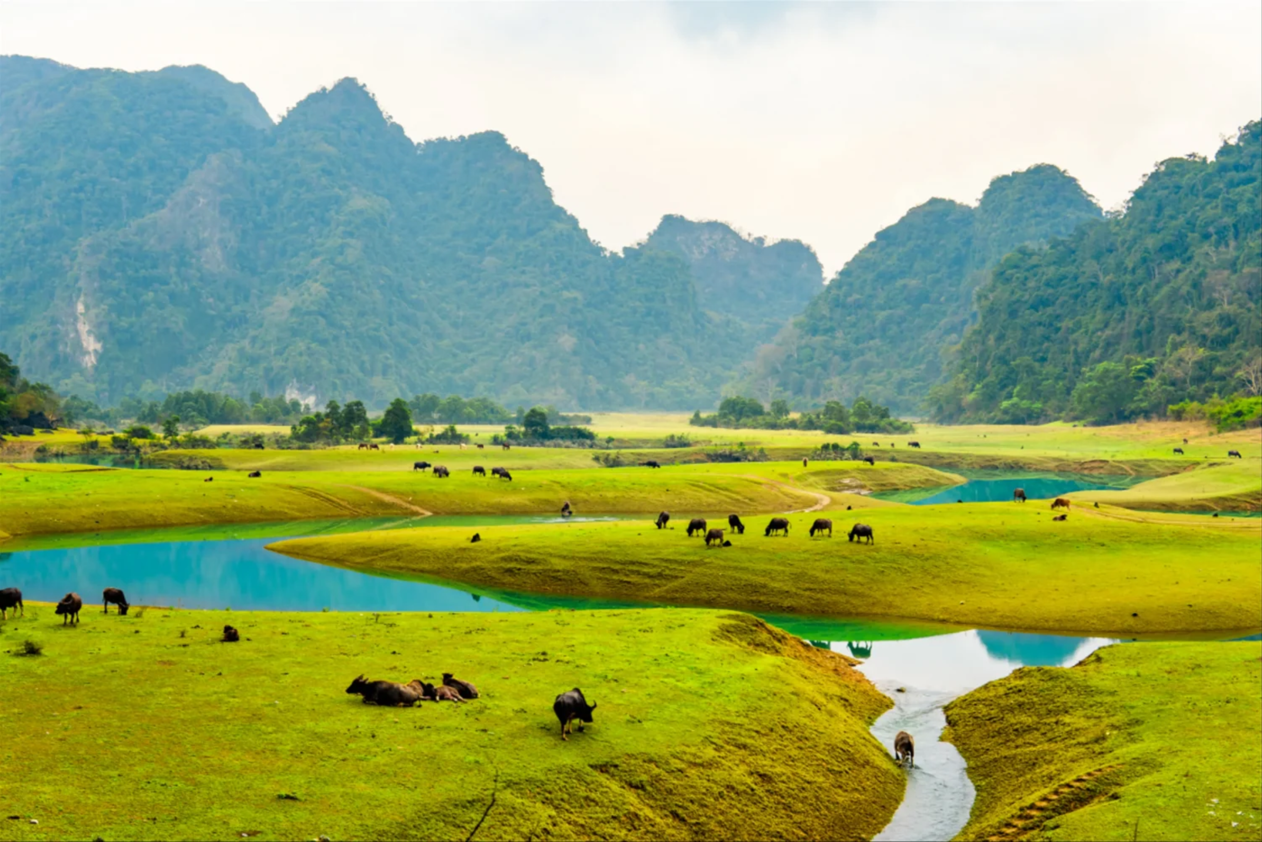 Du lịch Đông Bắc mùa xuân: Lạc bước giữa miền hoa nở 