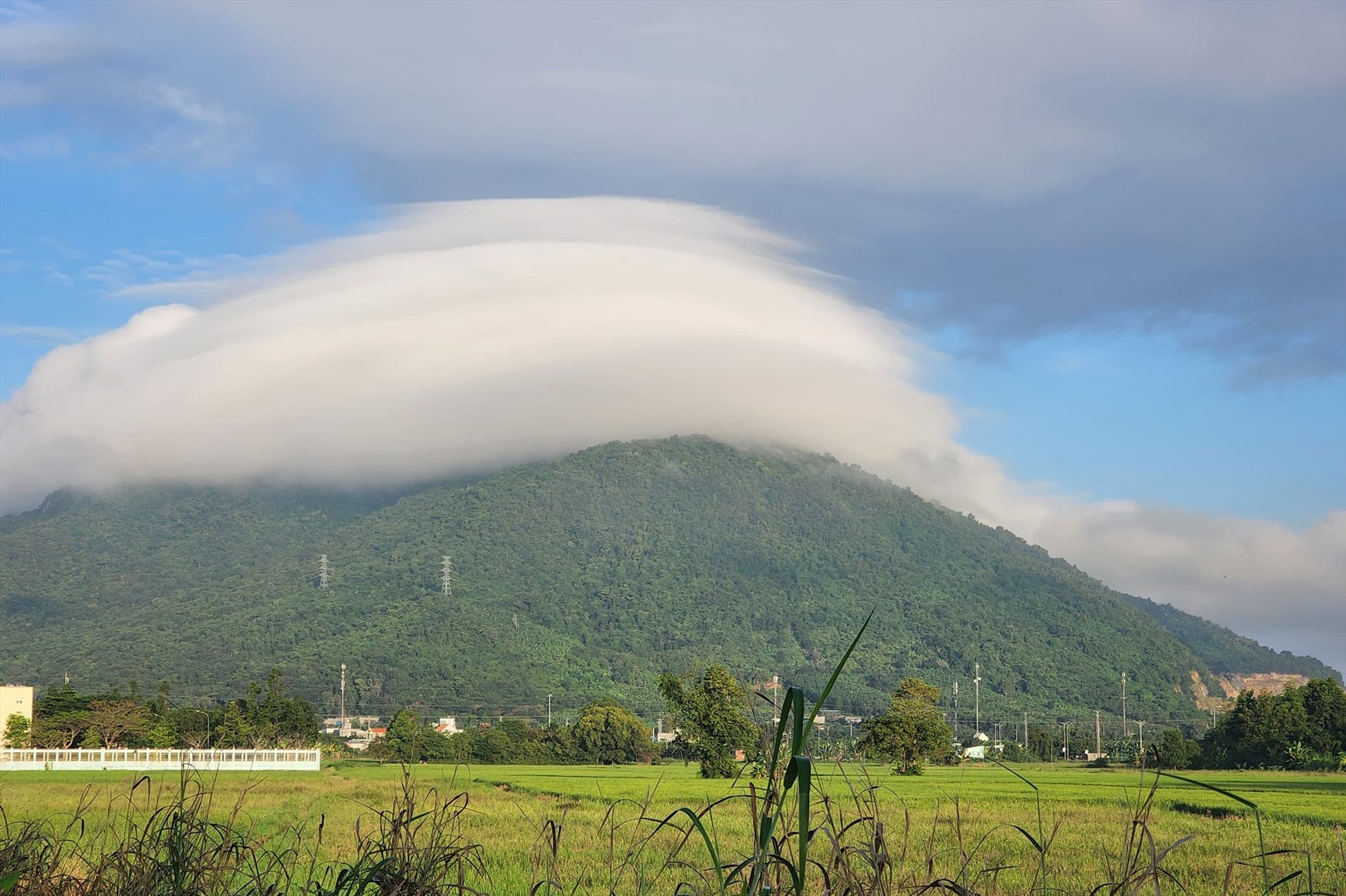 Trekking núi Dinh - cung trekking cực chất gần Sài Gòn