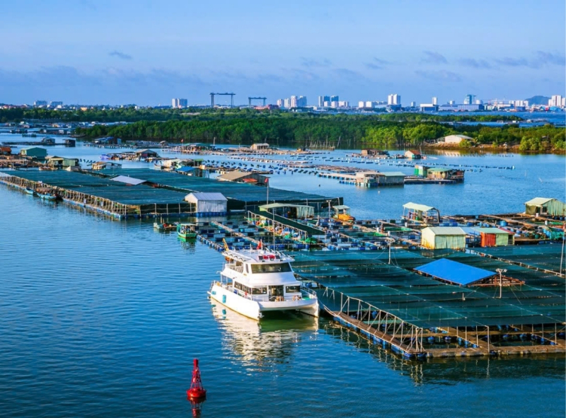 LONG HẢI - MIỀN BIỂN XANH, CÁT TRẮNG