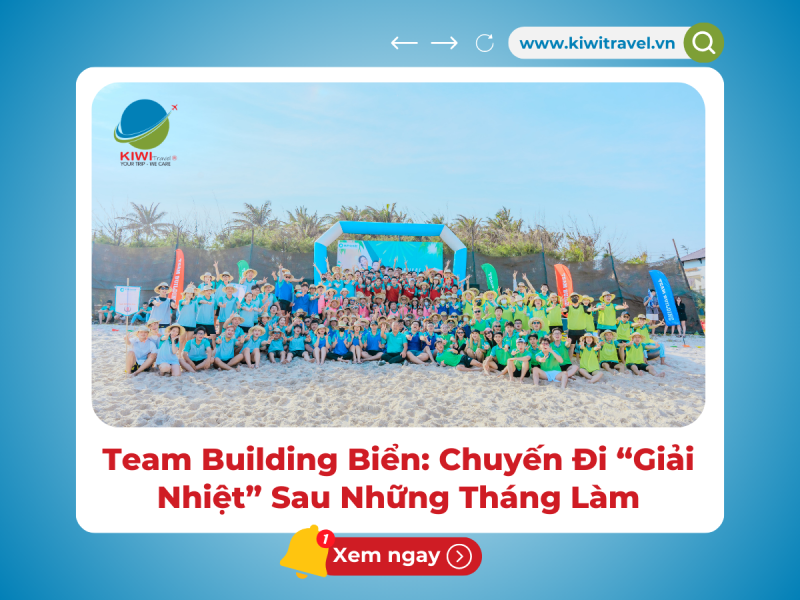 Team Building Biển: Chuyến Đi “Giải Nhiệt” Sau Những Tháng Làm Việc 