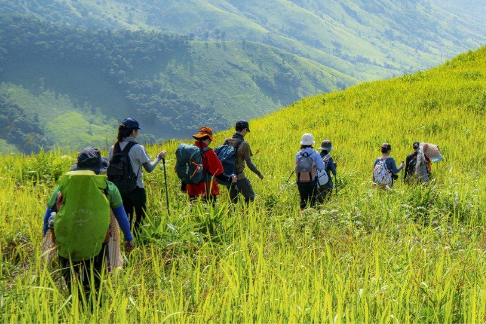 10 lợi ích không ngờ của team building kết hợp trekking đối với doanh nghiệp