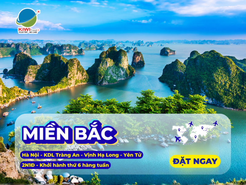 Hà Nội - Ninh Bình - Hạ Long  - 2N1Đ - Khởi hành thứ 6 hàng tuần